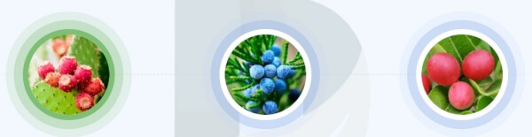 AgroMax - jaki jest skład nawozu?