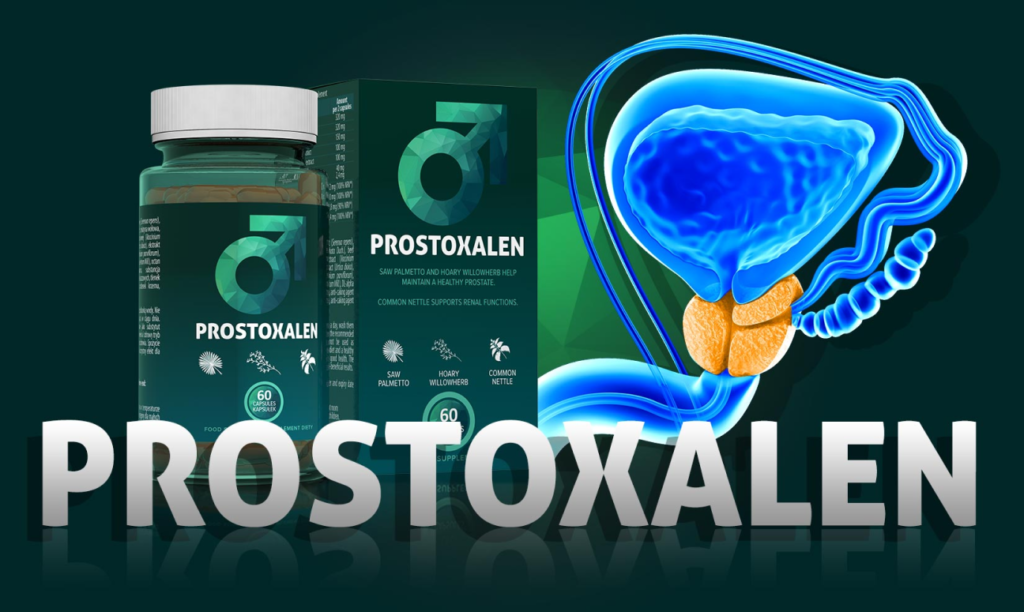 Jakie są składniki suplementu diety Prostoxalen?