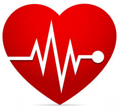 Ranking suplementów na cholesterol - serce